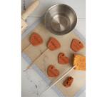 DARWI Pain de 500 g de pâte auto-durcissante TERRACOTTA - Terracotta
