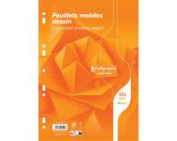 Feuillets mobiles dessin scolaire sous film 7000 A4 100 pages perforées uni 120g