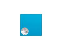 Paquet de 25 cartes simples Pollen 160x160mm 210g/m2 - Bleu turquoise