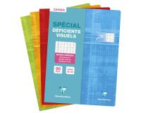 Cahier piqué spécial déficients visuels 24x32 cm 96 pages grands carreaux 2,5mm agrandis 10x10 - Assortis