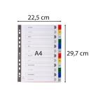 Indices 12 Pt Jan-Dec A4 PP Col Tabs - Assorted colours
