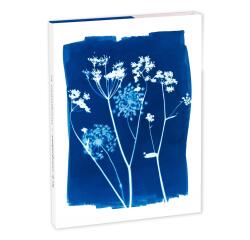 Cyanotype, Set de correspondance 12x16,5 cm contenant 8 cartes simples 11x15,5 cm assorties et 8 enveloppes Pollen C6 blanc naturel