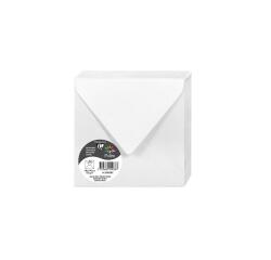 Pollen, Packung mit 20 Umschlägen 140x140 mm, 120g