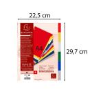 Separadores Exacompta polipropileno flexible 12x100º 6 posiciones - A4 - Colores surtidos