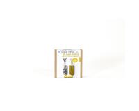 Mini-kit adulte soliflores - Kraft