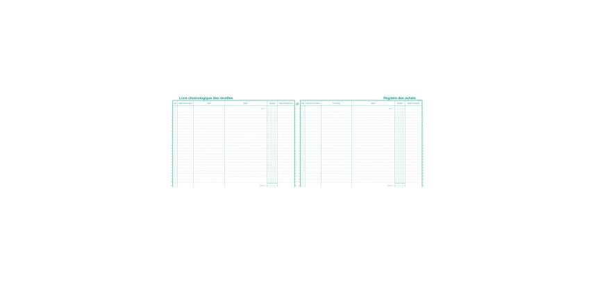 Piqûre 24x32cm Livre chronologique des recettes - Registre des achats - Spécial micro-entrepreneurs - 80 pages