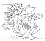 Coussin 100% soie - 40x40cm Flora - Blanc