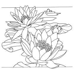 Coussin 100% soie - 40x40cm Flora - Blanc