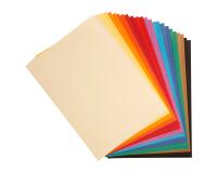 Tulipe rame 24F A4 160g - Assortiment vif