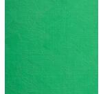 Peinture à l'huile extra-fine tube 200ml - Vert phtalo