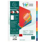 Intercalaires Carte lustrée 225 g avec onglets renforcés - 12 positions - A4