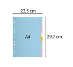 Div Forever Divider A4 170g 10P Pastel - Assorted colours