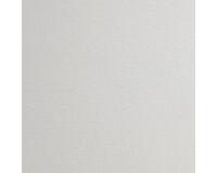Fontaine pak 10 blad 56x76cm 640g gesatineerd