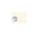 BLANC NATUREL, Paquet de 25 cartes simples Pollen 110x155mm 210g/m2 - Blanc naturel