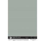Pastelmat pak van 5 vel 100x140cm 360g - Lichtgroen