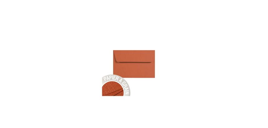 Paquet de 5 enveloppes Grain de Pollen 90x140mm 120g/m²
