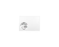 Paquet de 25 cartes simples Pollen 110x155mm 210g/m2 - Blanc irisé