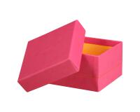 Rhodiarama set 5 boîtes gigognes simili cuir italien 44x34x16 cm - Framboise