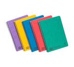 Notemaker Europa cahier reliure intégrale A5 120 pages détachables petits carreaux - Assortiment A
