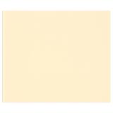 Tulipe rame 50F A3 160g - Ivoire