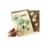 Coffret créatif, Presse fleurs et herbier - Multicolore