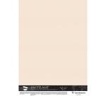 Pastelmat pak van 5 vel 100x140cm 360g - Beige