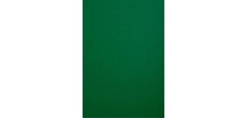 Pk 100 Covers Forever A4 Leather