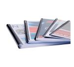 Doos van 25 plastic spiraal inbindruggen 10 mm - A4
