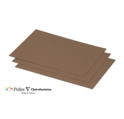 Paquet de 25 cartes simples Pollen 158x222mm 210g/m²