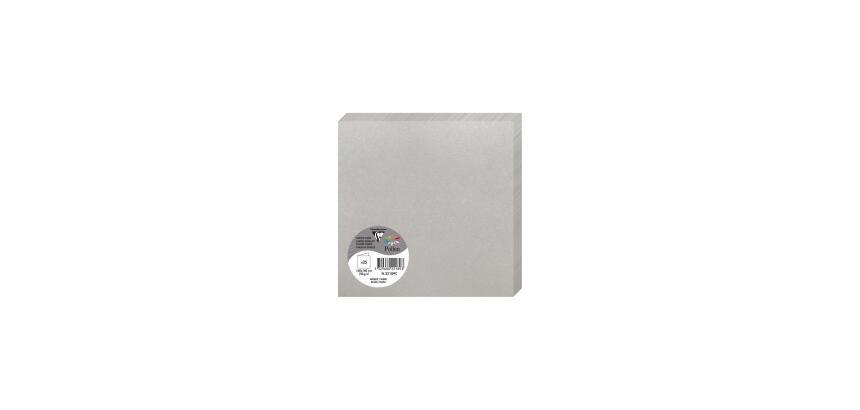 Paquet de 25 cartes pliées Pollen 160x160mm 210g/m2