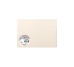 Paquet de 5 cartes simples 148x210mm 210g/m2 - Ivoire irisé