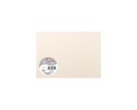 Paquet de 5 cartes simples 148x210mm 210g/m2 - Ivoire irisé