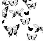 COLORIAGE, Carnet de 36 pages 120g/m² au format 20x20cm - Papillons