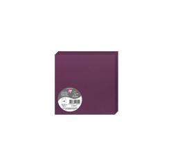 Paquet de 25 cartes pliées Pollen 135x135mm 210g/m²