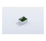 Aquarelle extra-fine demi-godet - Vert de Hooker