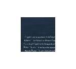 Tray of 400 recycled embossed paper placemats 80g/m2, Slate - Size 30x40cm - Slate