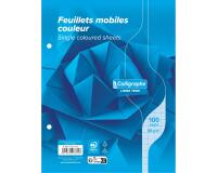 Feuillets mobiles sous film 7000 17x22 cm 100 pages perforées 2 trous grands carreaux 80 g