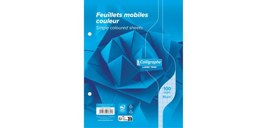 Clairefontaine Loose-Leaf Sheets, Ligne 7000, Seyes, 17x22cm 80g