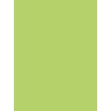 PAPIER AFFICHE PEINTE, Paquet de 25 feuilles 90g/m2 au format 60x80cm - Vert pomme