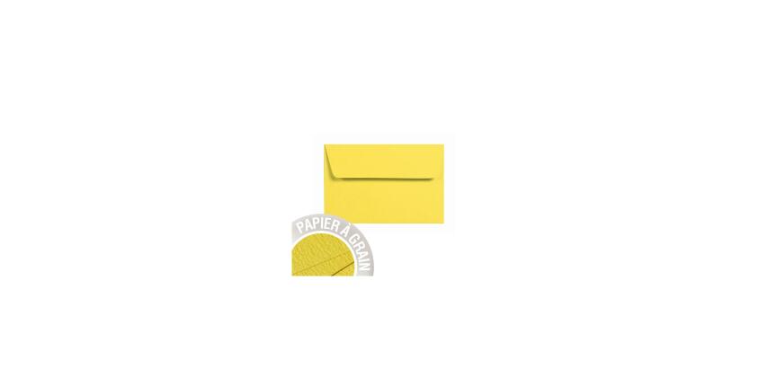 Paquet de 5 enveloppes Grain de Pollen 90x140mm 120g/m²