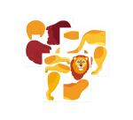 Crea 3D, Lion - Orange