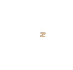Petite lettre kraft z 8,5cm - Kraft