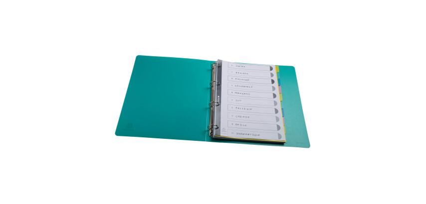 Register A4 Recycling-PP, 10 Positionen, Forever Young - Farben sortiert