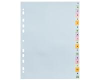 Intercalaires carte pastel 170g Forever imprimé alphabétique 20 positions - A4+ - Couleurs assorties pastel
