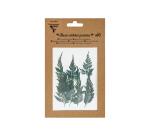 GEDROOGDE GEPLATTE BLOEMEN, Set van 10 stuks - Groen