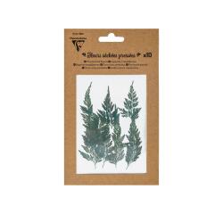 GEDROOGDE GEPLATTE BLOEMEN, Set van 10 stuks - Groen