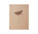 Flying Spirit carnet cousu 60F 16x21cm 90g - Kraft brun