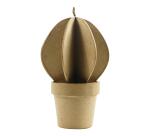* Cactus boule - Kraft
