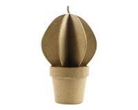* Cactus boule - Kraft