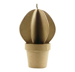 * Cactus boule - Kraft